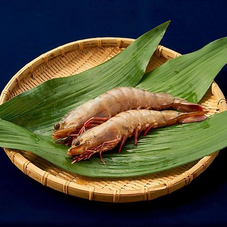 Shinwaka Lodge Wakayama Zewnętrze zdjęcie